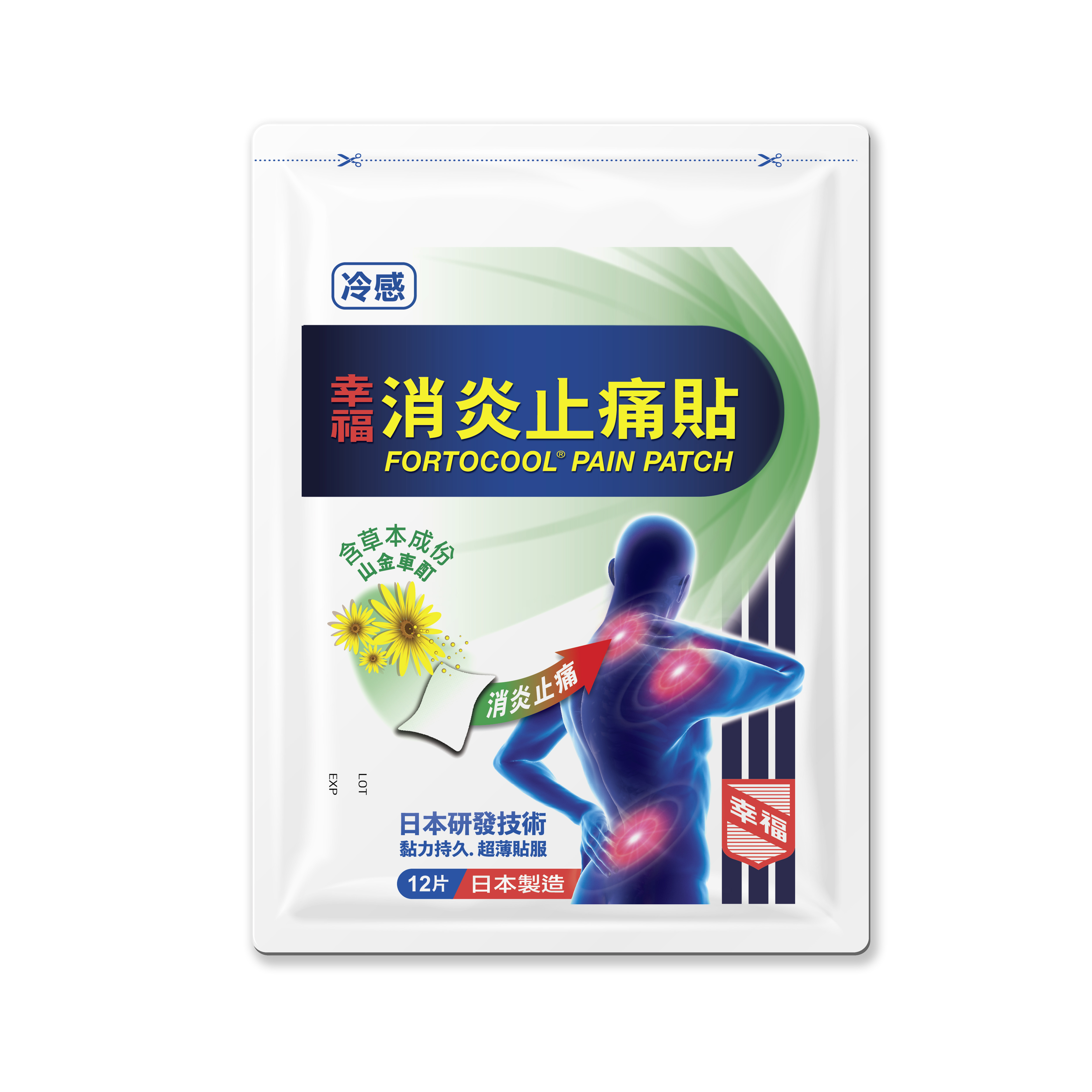 活動八